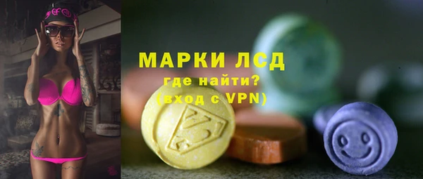 прущие грибы Алзамай