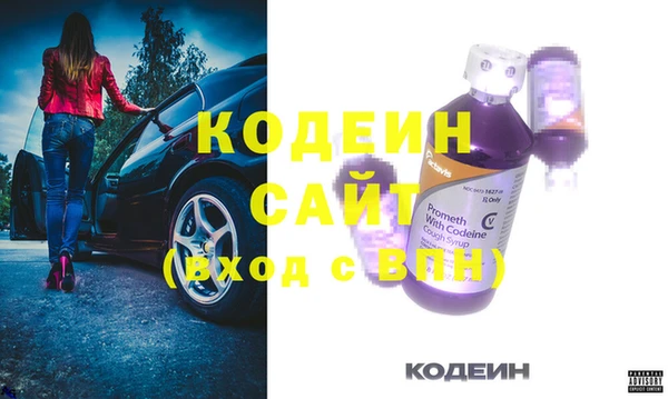 прущие грибы Алзамай