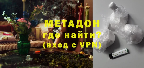 прущие грибы Алзамай