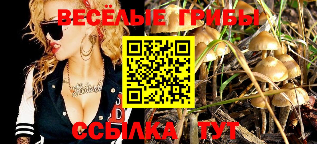ГАШИШ Аргун