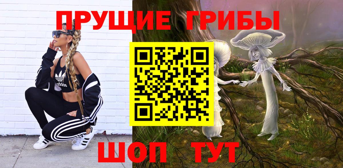 Псилоцибиновые грибы ЛСД Аргун