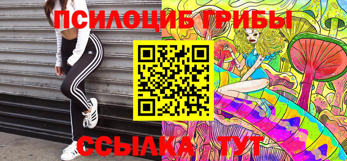 Галлюциногенные грибы Magic Shrooms  Вход с VPN  где можно купить наркотик  Аргун  Галлюциногенные грибы мухоморы 